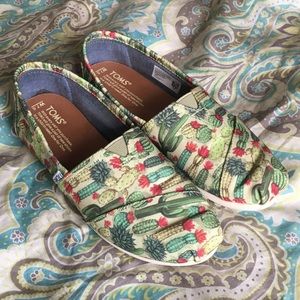 Cactus TOMS